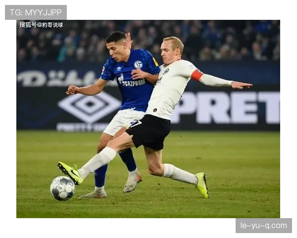 奥德加德比赛影响指数