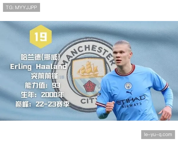 哈兰德国家队荣誉缺失对历史地位的影响分析